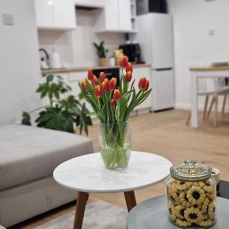Apartament Na Skalkach Jelenia Góra Exterior foto